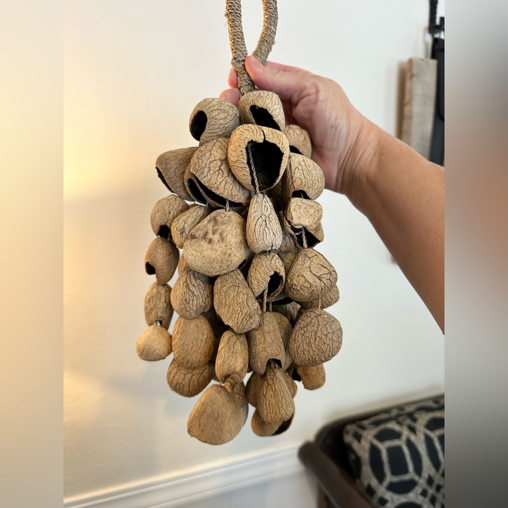 Natural seed shell percussion instrument home decor - Picture 2 of 4